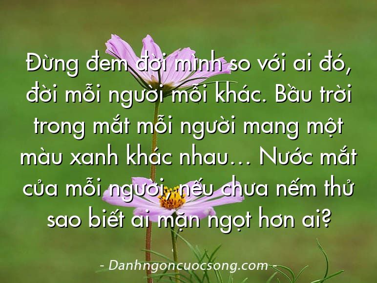 Đừng đem đời mình so với ai đó, đời mỗi người mỗi khác. Bầu trời trong mắt mỗi người mang một màu xanh khác nhau… Nước mắt của mỗi người, nếu chưa nếm thử sao biết ai mặn ngọt hơn ai?