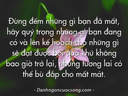Đừng đếm những gì bạn đã mất, hãy quý trọng những gì bạn đang có và lên kế hoạch cho những gì sẽ đạt được bởi quá khứ không bao giờ trở lại, nhưng tương lai có thể bù đắp cho mất mát.