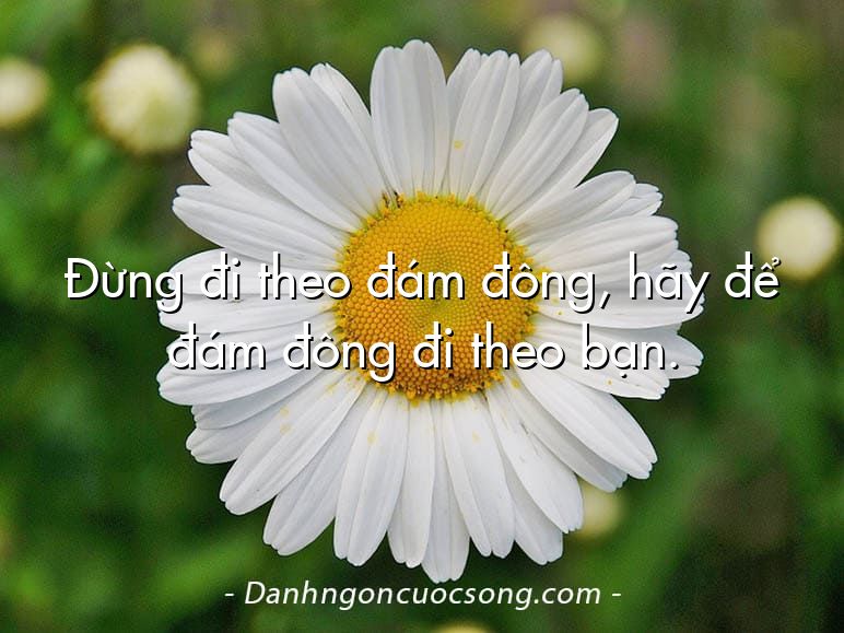 Đừng đi theo đám đông, hãy để đám đông đi theo bạn.
