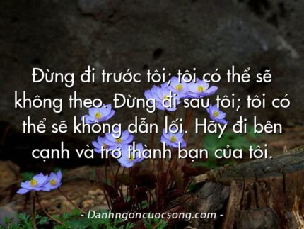 Đừng đi trước tôi; tôi có thể sẽ không theo. Đừng đi sau tôi; tôi có thể sẽ không dẫn lối. Hãy đi bên cạnh và trở thành bạn của tôi.