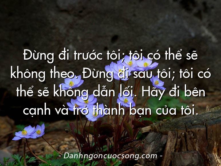 Đừng đi trước tôi; tôi có thể sẽ không theo. Đừng đi sau tôi; tôi có thể sẽ không dẫn lối. Hãy đi bên cạnh và trở thành bạn của tôi.
