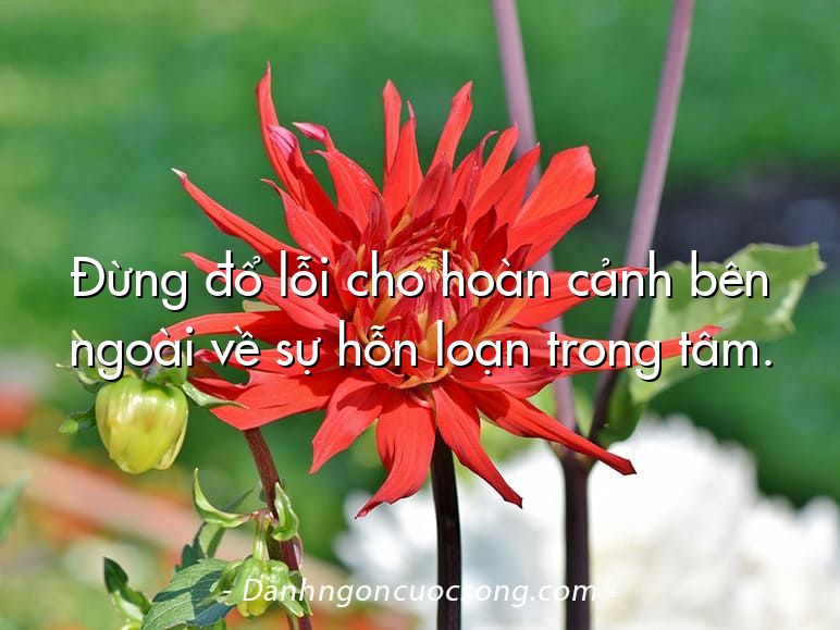 Đừng đổ lỗi cho hoàn cảnh bên ngoài về sự hỗn loạn trong tâm.
