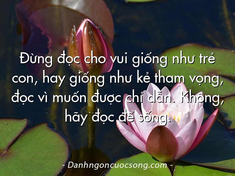 Đừng đọc cho vui giống như trẻ con, hay giống như kẻ tham vọng, đọc vì muốn được chỉ dẫn. Không, hãy đọc để sống.