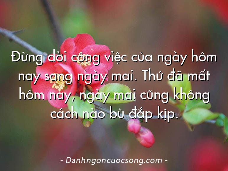 Đừng dời công việc của ngày hôm nay sang ngày mai. Thứ đã mất hôm nay, ngày mai cũng không cách nào bù đắp kịp.