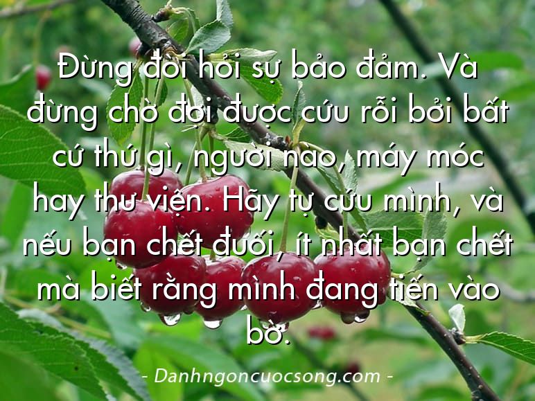 Đừng đòi hỏi sự bảo đảm. Và đừng chờ đợi được cứu rỗi bởi bất cứ thứ gì, người nào, máy móc hay thư viện. Hãy tự cứu mình, và nếu bạn chết đuối, ít nhất bạn chết mà biết rằng mình đang tiến vào bờ.
