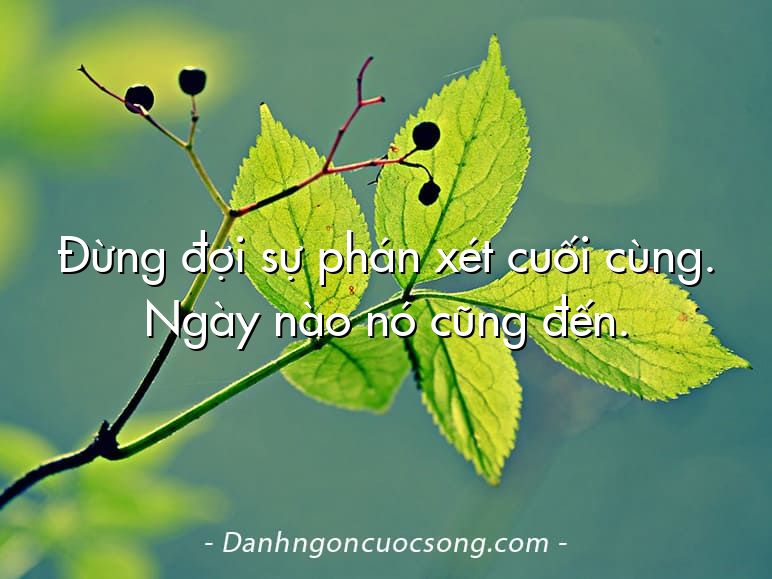 Đừng đợi sự phán xét cuối cùng. Ngày nào nó cũng đến.