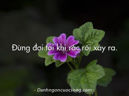 Đừng đợi tới khi rắc rối xảy ra.