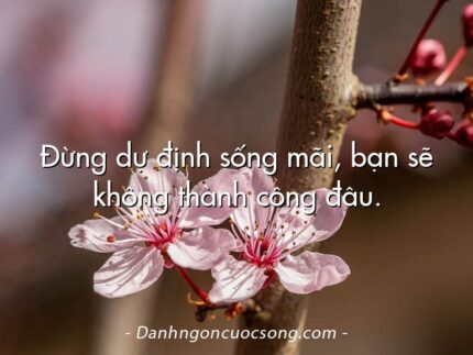 Đừng dự định sống mãi, bạn sẽ không thành công đâu.
