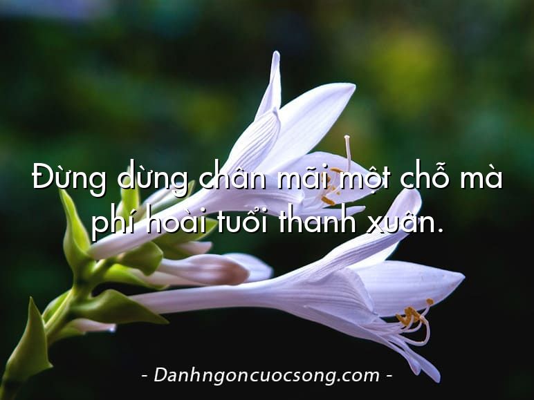 Đừng dừng chân mãi một chỗ mà phí hoài tuổi thanh xuân.