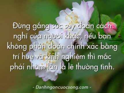Đừng gắng sức suy đoán cách nghĩ của người khác, nếu bạn không phán đoán chính xác bằng trí huệ và kinh nghiệm thì mắc phải nhầm lẫn là lẽ thường tình.