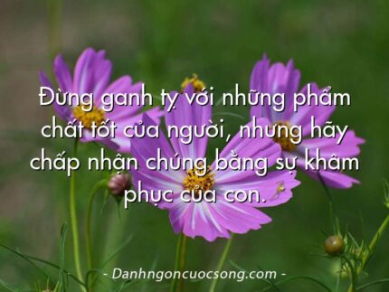 Đừng ganh tỵ với những phẩm chất tốt của người, nhưng hãy chấp nhận chúng bằng sự khâm phục của con.