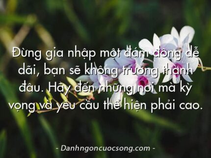 Đừng gia nhập một đám đông dễ dãi, bạn sẽ không trưởng thành đâu. Hãy đến những nơi mà kỳ vọng và yêu cầu thể hiện phải cao.