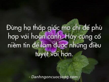 Đừng hạ thấp giấc mơ chỉ để phù hợp với hoàn cảnh. Hãy củng cố niềm tin để làm được những điều tuyệt vời hơn.