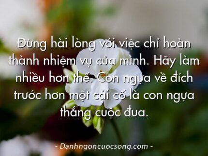 Đừng hài lòng với việc chỉ hoàn thành nhiệm vụ của mình. Hãy làm nhiều hơn thế. Con ngựa về đích trước hơn một cái cổ là con ngựa thắng cuộc đua.