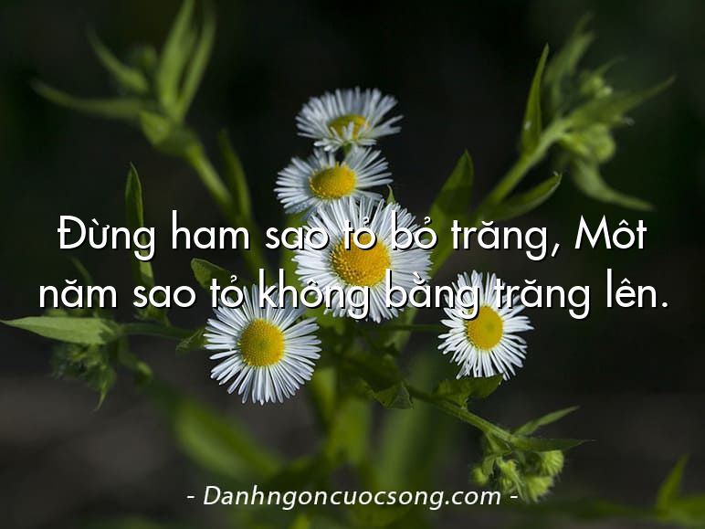 Đừng ham sao tỏ bỏ trăng, Môt năm sao tỏ không bằng trăng lên.
