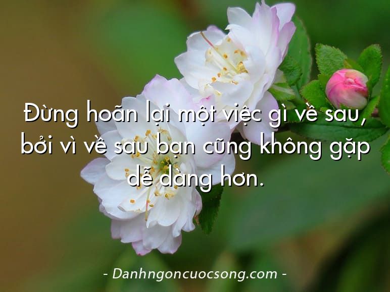 Đừng hoãn lại một việc gì về sau, bởi vì về sau bạn cũng không gặp dễ dàng hơn.