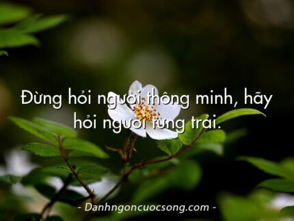 Đừng hỏi người thông minh, hãy hỏi người từng trải.