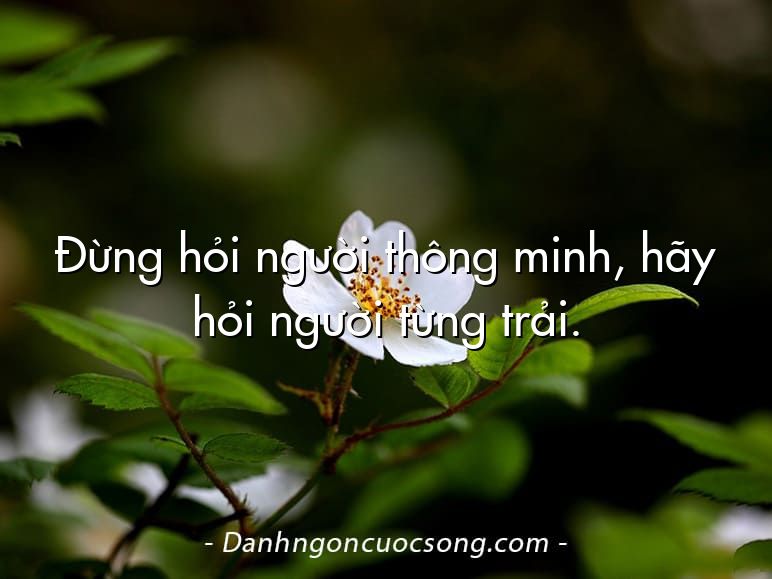 Đừng hỏi người thông minh, hãy hỏi người từng trải.