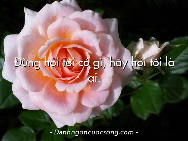 Đừng hỏi tôi có gì, hãy hỏi tôi là ai.