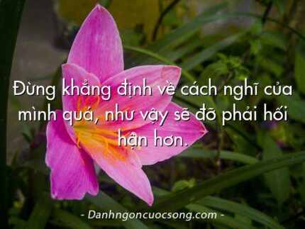 Đừng khẳng định về cách nghĩ của mình quá, như vậy sẽ đỡ phải hối hận hơn.