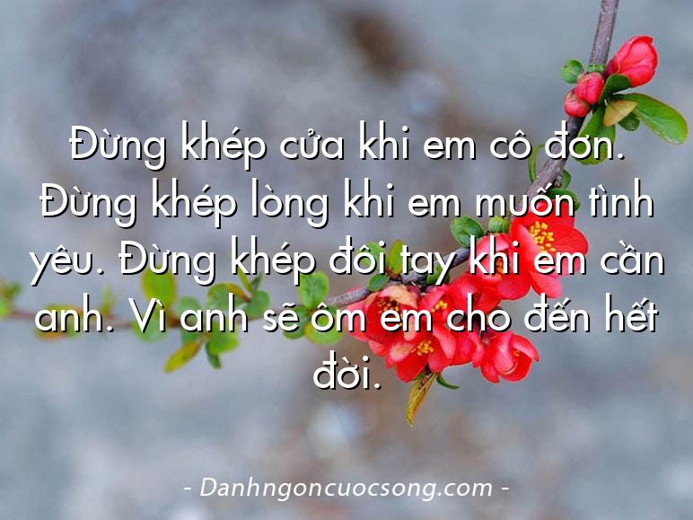 Đừng khép cửa khi em cô đơn. Đừng khép lòng khi em muốn tình yêu. Đừng khép đôi tay khi em cần anh. Vì anh sẽ ôm em cho đến hết đời.