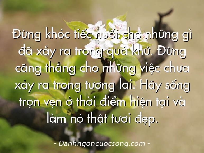 Đừng khóc tiếc nuối cho những gì đã xảy ra trong quá khứ. Đừng căng thẳng cho những việc chưa xảy ra trong tương lai. Hãy sống trọn vẹn ở thời điểm hiện tại và làm nó thật tươi đẹp.