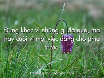Đừng khóc vì những gì đã qua, mà hãy cười vì mọi việc đang chờ phía trước.