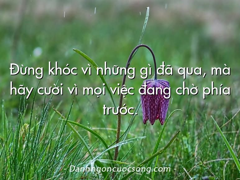 Đừng khóc vì những gì đã qua, mà hãy cười vì mọi việc đang chờ phía trước.