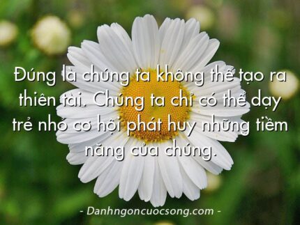 Đúng là chúng ta không thể tạo ra thiên tài. Chúng ta chỉ có thể dạy trẻ nhỏ cơ hội phát huy những tiềm năng của chúng.