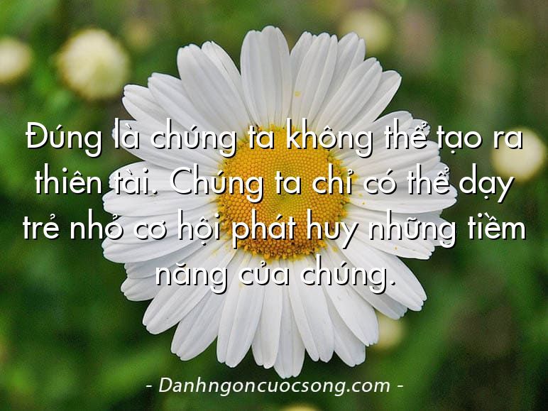 Đúng là chúng ta không thể tạo ra thiên tài. Chúng ta chỉ có thể dạy trẻ nhỏ cơ hội phát huy những tiềm năng của chúng.