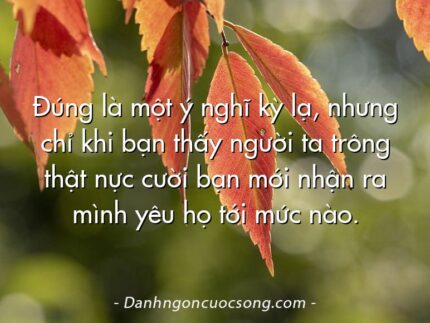 Đúng là một ý nghĩ kỳ lạ, nhưng chỉ khi bạn thấy người ta trông thật nực cười bạn mới nhận ra mình yêu họ tới mức nào.