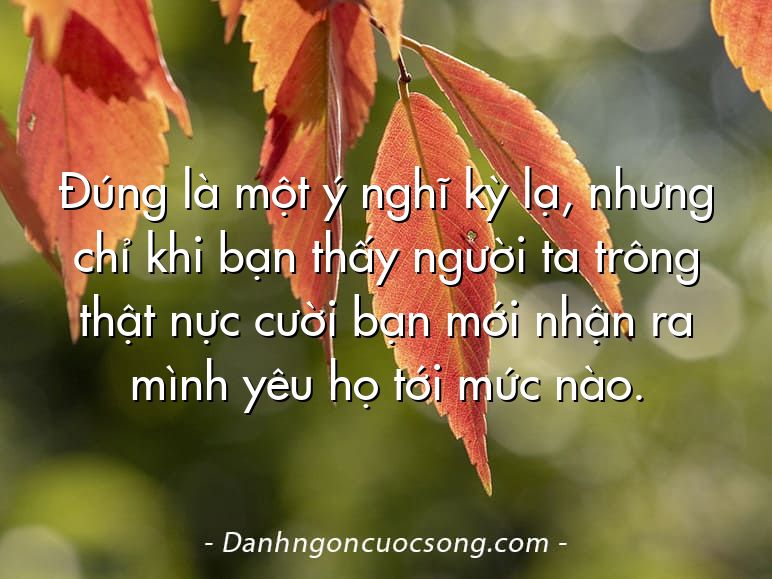 Đúng là một ý nghĩ kỳ lạ, nhưng chỉ khi bạn thấy người ta trông thật nực cười bạn mới nhận ra mình yêu họ tới mức nào.