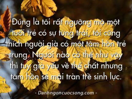 Đúng là tôi rất ngưỡng mộ một tuổi trẻ có sự từng trải, tôi cũng thích người già có một tâm hồn trẻ trung. Người nào có thể như vậy thì tuy già yếu về thể chất nhưng tâm hồn sẽ mãi tràn trề sinh lực.