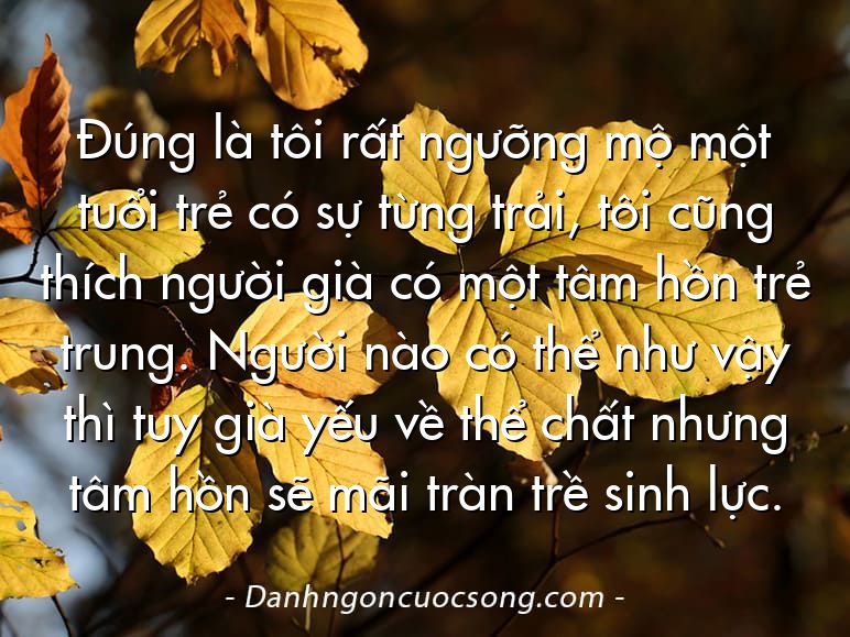 Đúng là tôi rất ngưỡng mộ một tuổi trẻ có sự từng trải, tôi cũng thích người già có một tâm hồn trẻ trung. Người nào có thể như vậy thì tuy già yếu về thể chất nhưng tâm hồn sẽ mãi tràn trề sinh lực.