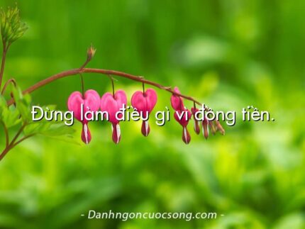 Đừng làm điều gì vì đồng tiền.
