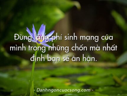 Đừng lãng phí sinh mạng của mình trong những chốn mà nhất định bạn sẽ ân hận.