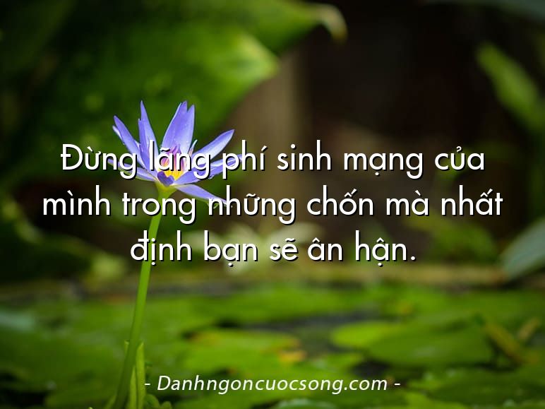 Đừng lãng phí sinh mạng của mình trong những chốn mà nhất định bạn sẽ ân hận.