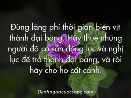 Đừng lãng phí thời gian biến vịt thành đại bàng. Hãy thuê những người đã có sẵn động lực và nghị lực để trở thành đại bàng, và rồi hãy cho họ cất cánh.