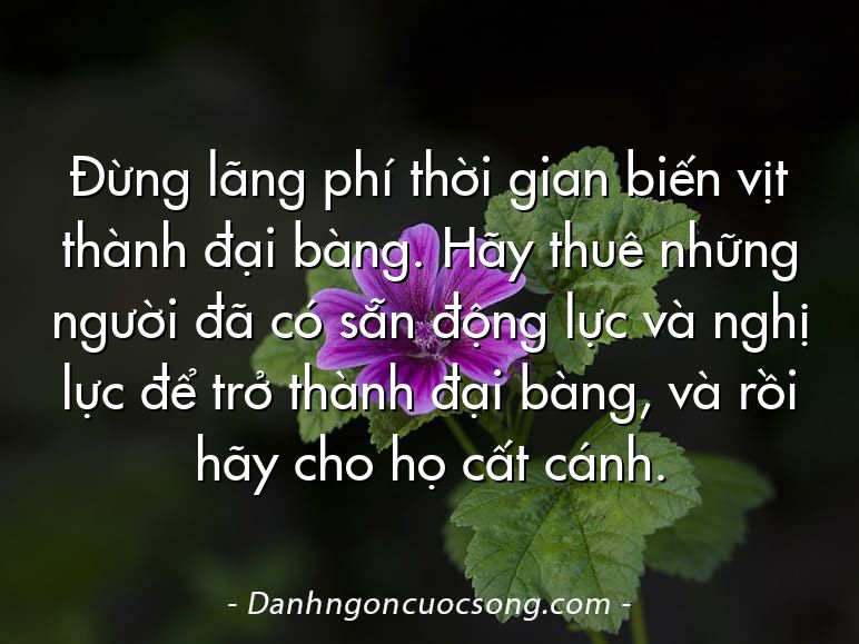Đừng lãng phí thời gian biến vịt thành đại bàng. Hãy thuê những người đã có sẵn động lực và nghị lực để trở thành đại bàng, và rồi hãy cho họ cất cánh.