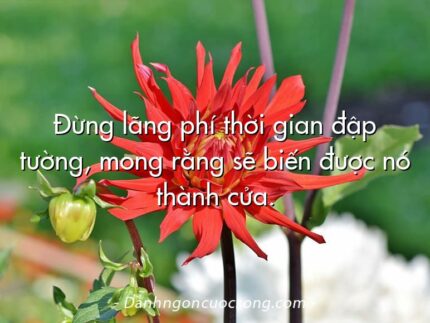 Đừng lãng phí thời gian đập tường, mong rằng sẽ biến được nó thành cửa.