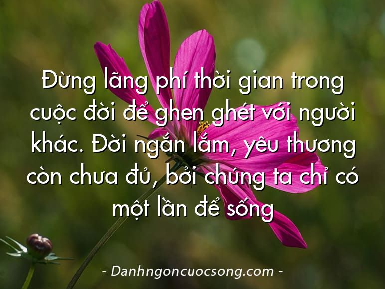 Đừng lãng phí thời gian trong cuộc đời để ghen ghét với người khác. Đời ngắn lắm, yêu thương còn chưa đủ, bởi chúng ta chỉ có một lần để sống
