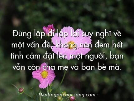 Đừng lặp đi lặp lại suy nghĩ về một vấn đề, không nên đem hết tình cảm đặt lên một người, bạn vẫn còn cha mẹ và bạn bè mà.