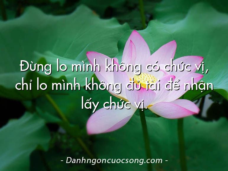 Đừng lo mình không có chức vị, chỉ lo mình không đủ tài để nhận lấy chức vị.