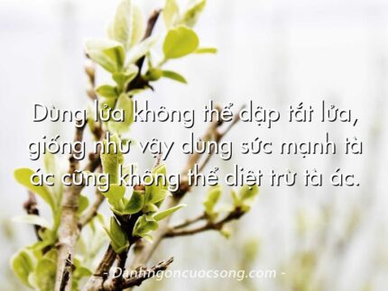 Dùng lửa không thể dập tắt lửa, giống như vậy dùng sức mạnh tà ác cũng không thể diệt trừ tà ác.