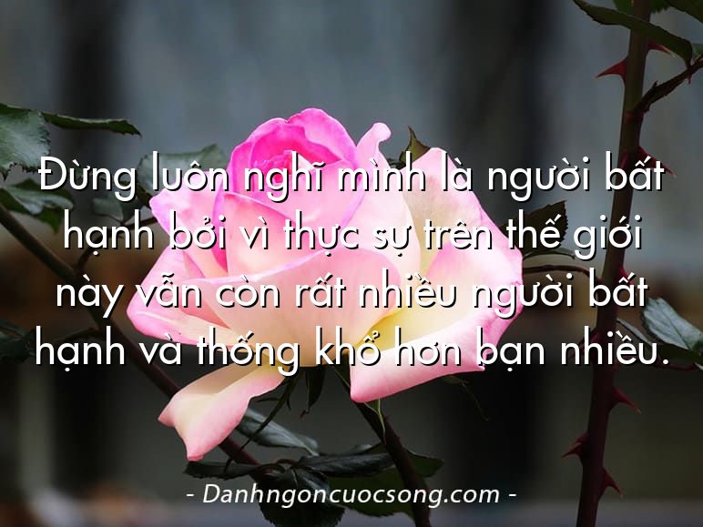 Đừng luôn nghĩ mình là người bất hạnh bởi vì thực sự trên thế giới này vẫn còn rất nhiều người bất hạnh và thống khổ hơn bạn nhiều.