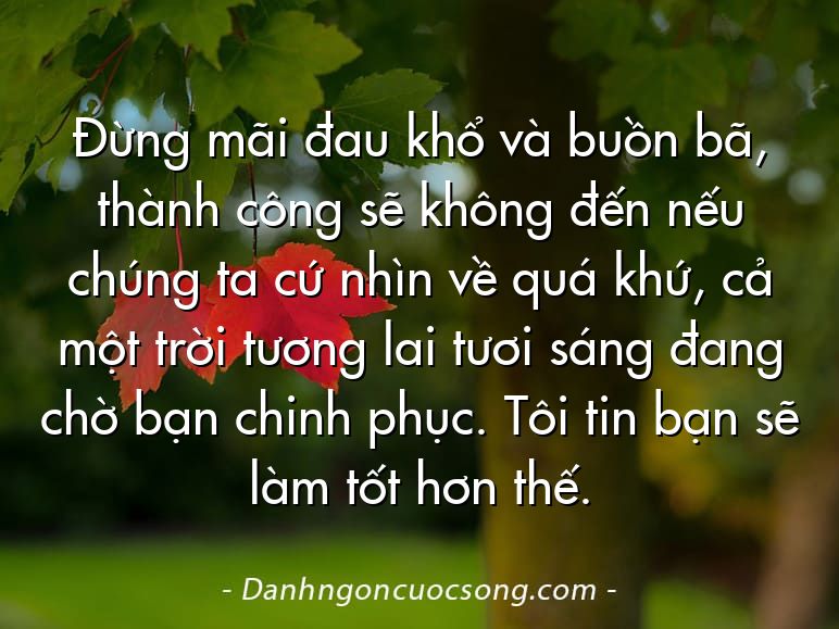 Đừng mãi đau khổ và buồn bã, thành công sẽ không đến nếu chúng ta cứ nhìn về quá khứ, cả một trời tương lai tươi sáng đang chờ bạn chinh phục. Tôi tin bạn sẽ làm tốt hơn thế.