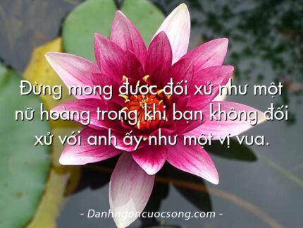 Đừng mong được đối xử như một nữ hoàng trong khi bạn không đối xử với anh ấy như một vị vua.