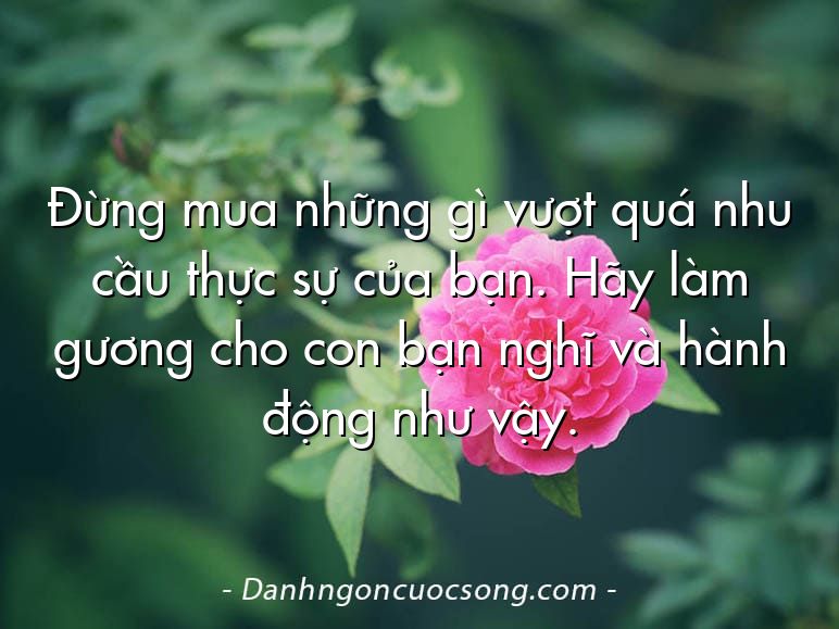 Đừng mua những gì vượt quá nhu cầu thực sự của bạn. Hãy làm gương cho con bạn nghĩ và hành động như vậy.