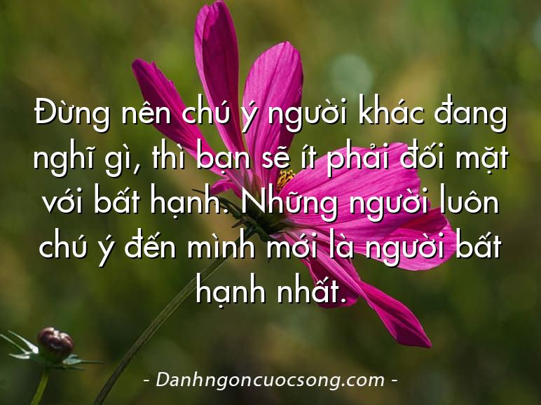 Đừng nên chú ý người khác đang nghĩ gì, thì bạn sẽ ít phải đối mặt với bất hạnh. Những người luôn chú ý đến mình mới là người bất hạnh nhất.