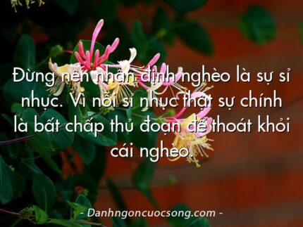 Đừng nên nhận định nghèo là sự sỉ nhục. Vì nỗi sỉ nhục thật sự chính là bất chấp thủ đoạn để thoát khỏi cái nghèo.